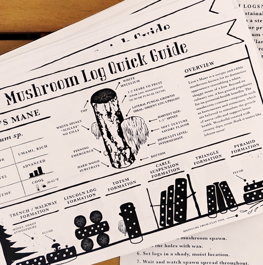Mushroom Log Growing Guide Lion's Mane Varietal